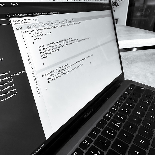 ServiceNow Service Catalog development - Custom script implementation